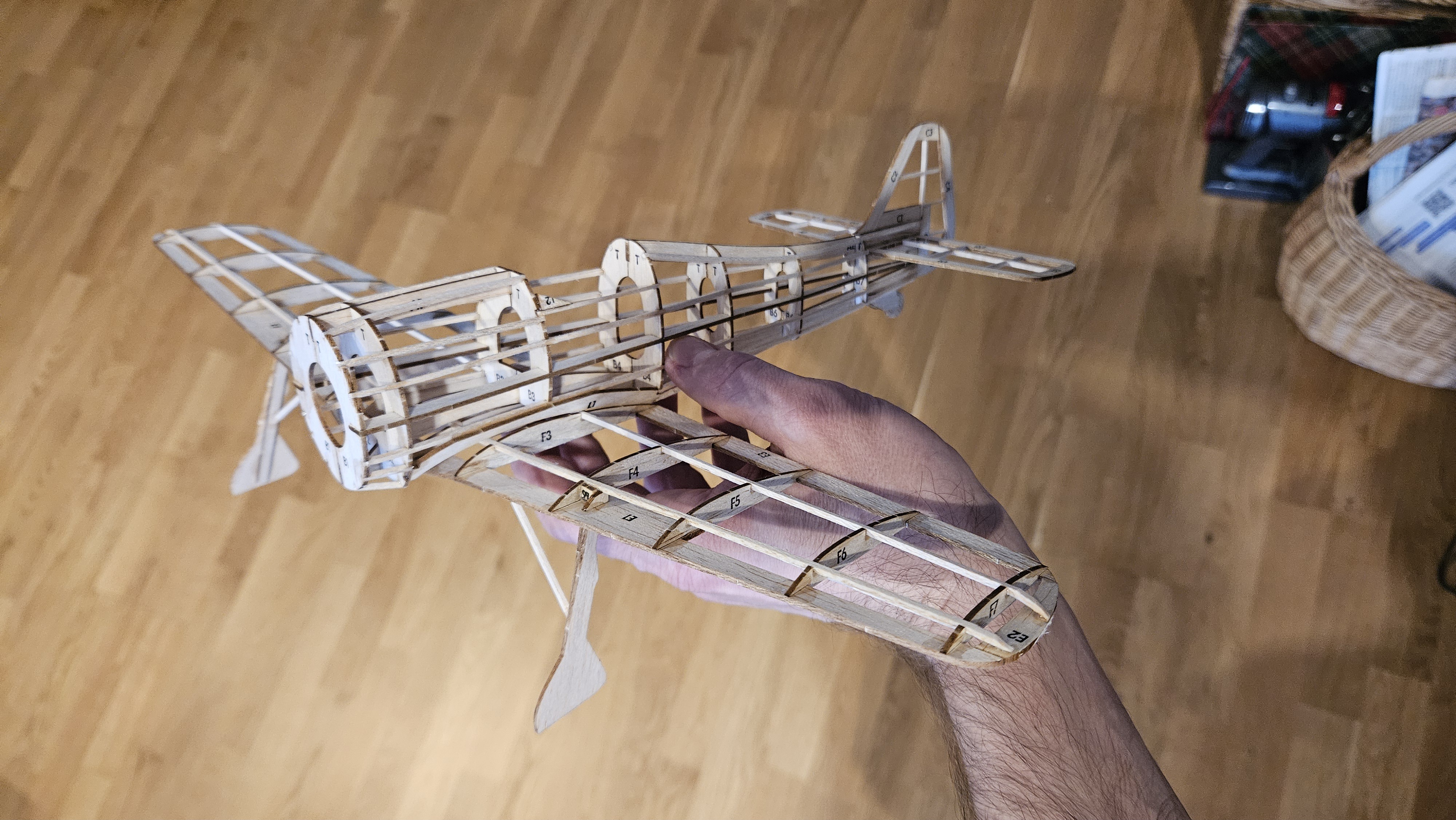 Focke-Wulf palsa karkass